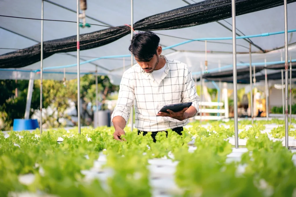 Can Vertical Farming Address Pakistan’s Food Security Needs?
