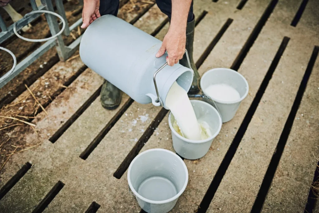 How Genetic Engineering Is Modernizing Pakistan’s Livestock Sector