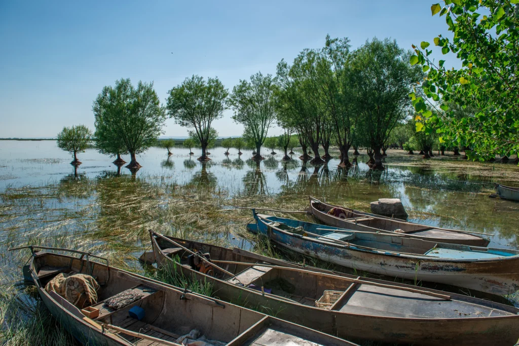 Sindh and Balochistan’s Mangrove Forests Drive Growth