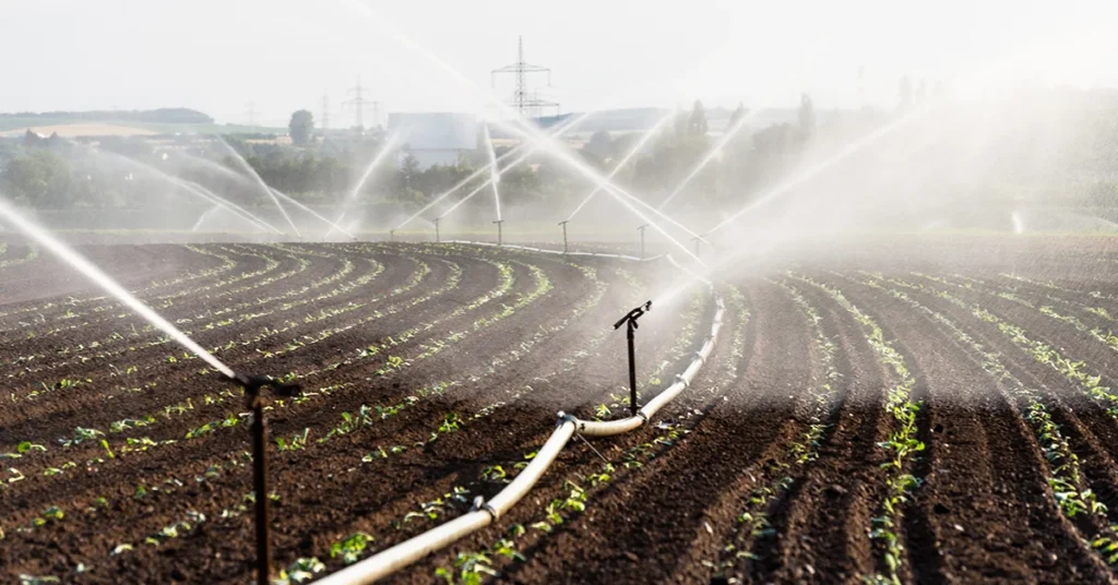 Smart Irrigation Powering Pakistan’s Water and Food Future