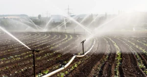Smart Irrigation Powering Pakistan’s Water and Food Future